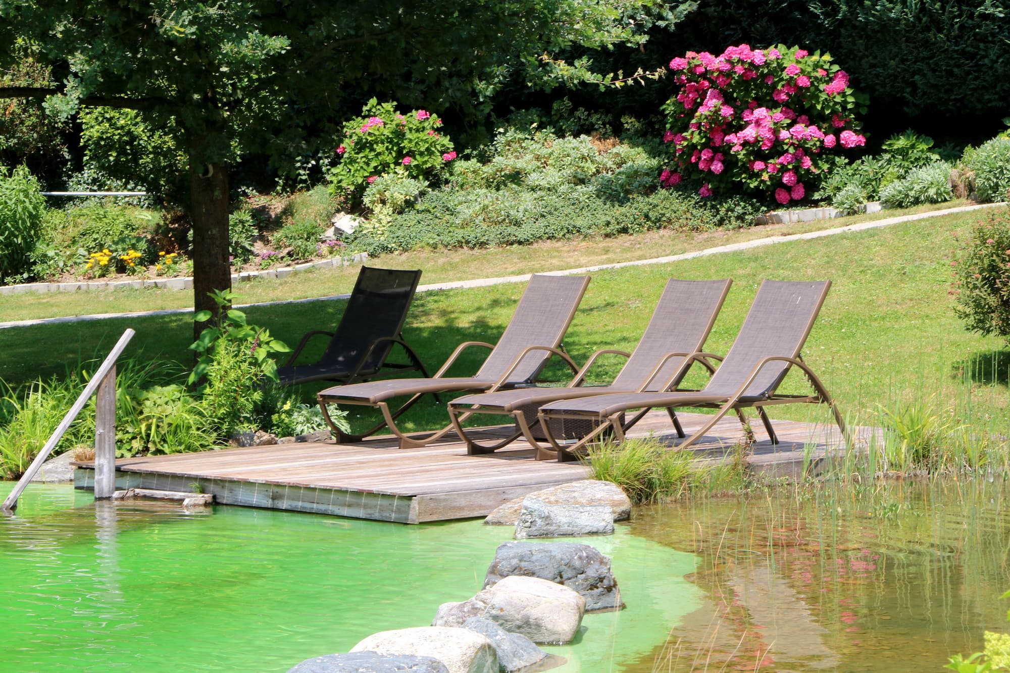 Comment faire l&#8217;entretien d&#8217;une piscine naturelle ? Belfort