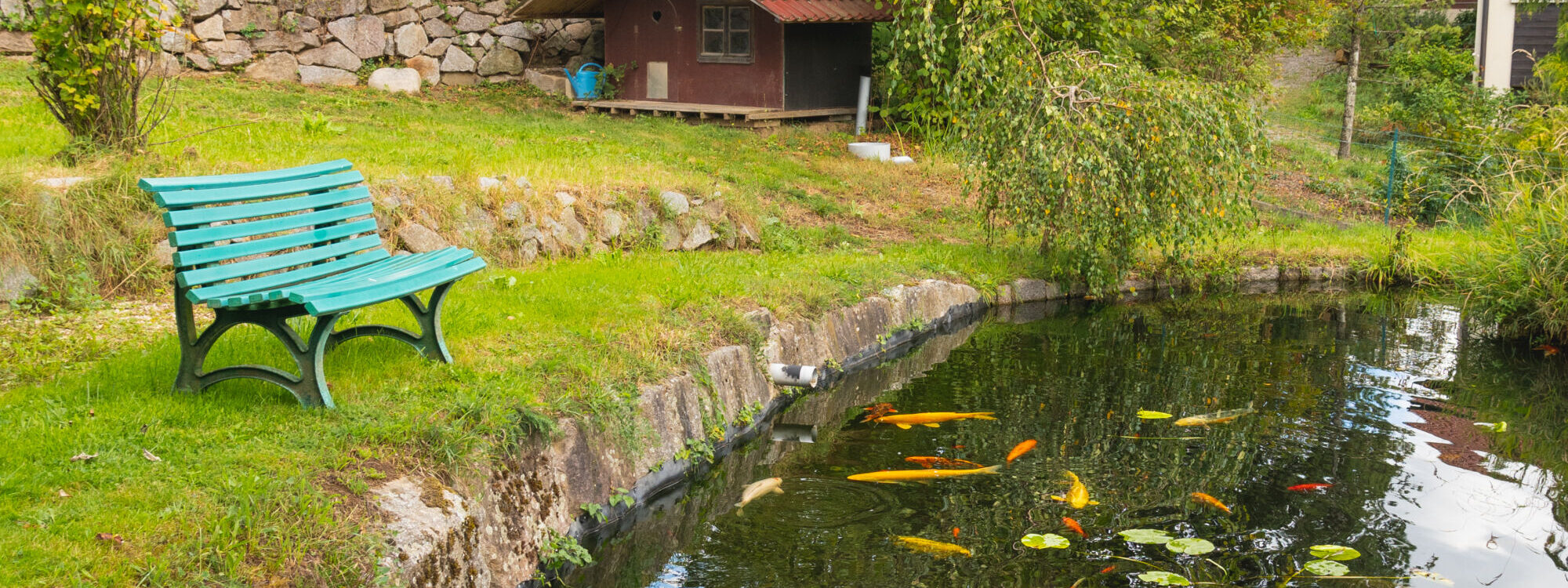 Quelles sont les erreurs courantes à éviter lors de l&#8217;installation d&#8217;une piscine naturelle ? Kingersheim