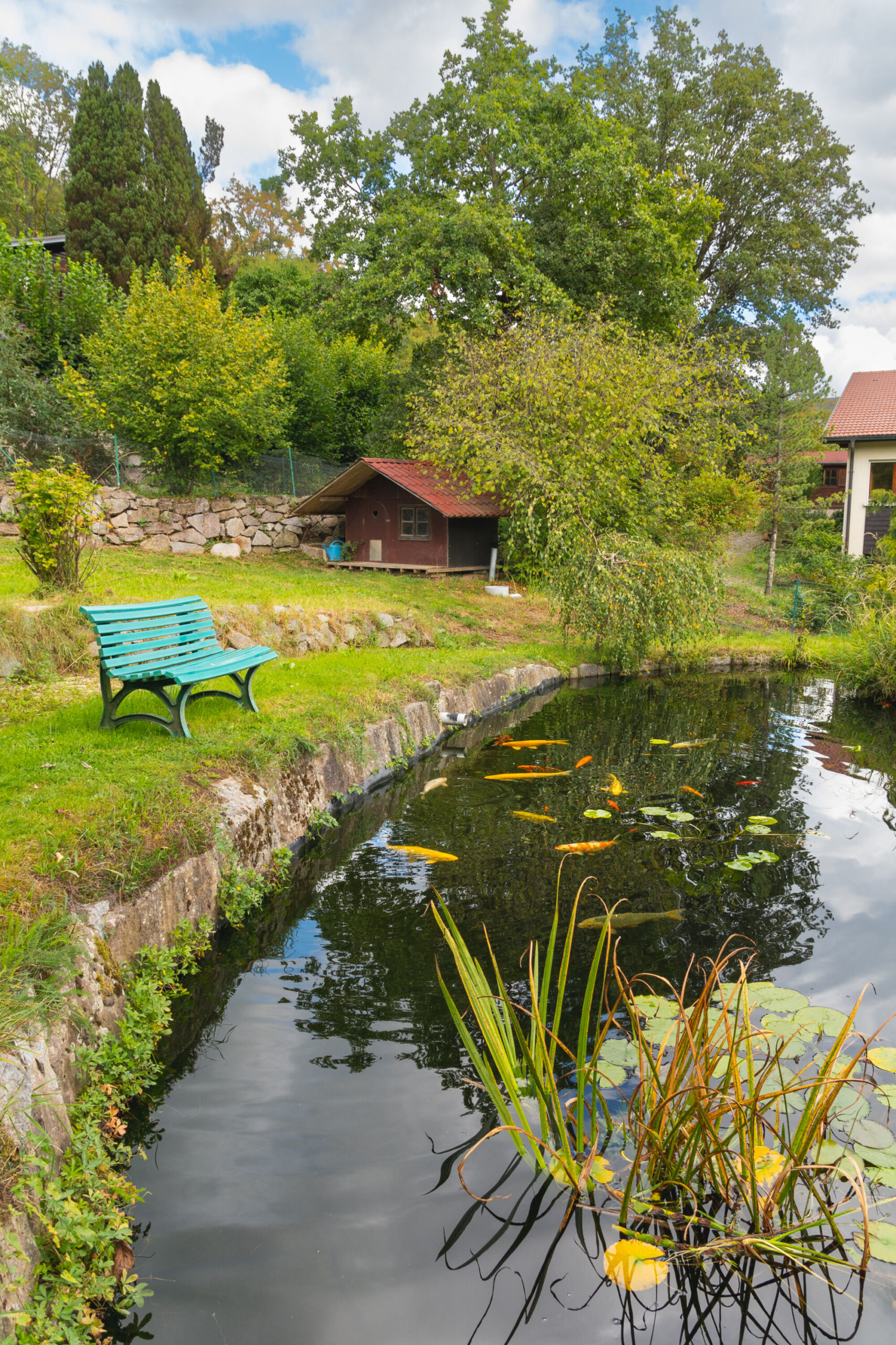 Quelles sont les erreurs courantes à éviter lors de l&#8217;installation d&#8217;une piscine naturelle ? Kingersheim 0